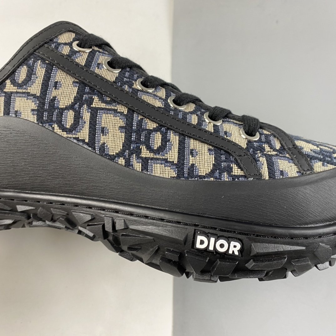 Dior B28 Oblique Low Sneakers B Casual Sneakers